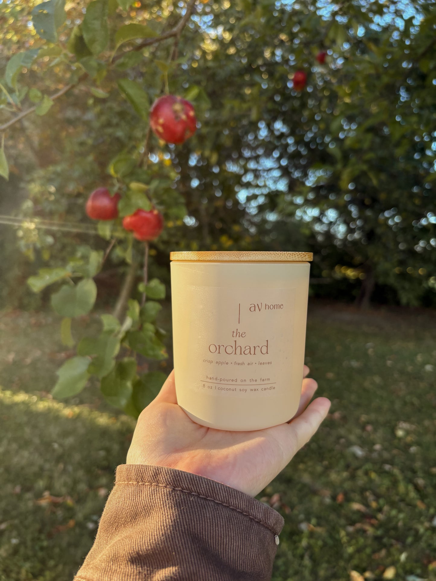 "The Orchard"