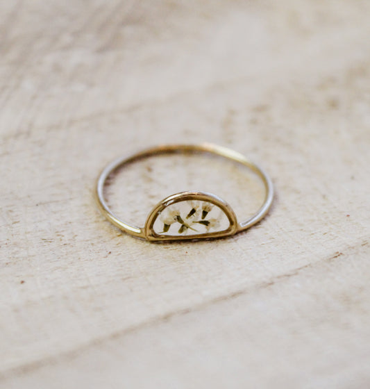 Queen Ann’s Lace Semicircle Ring - Gold Filled